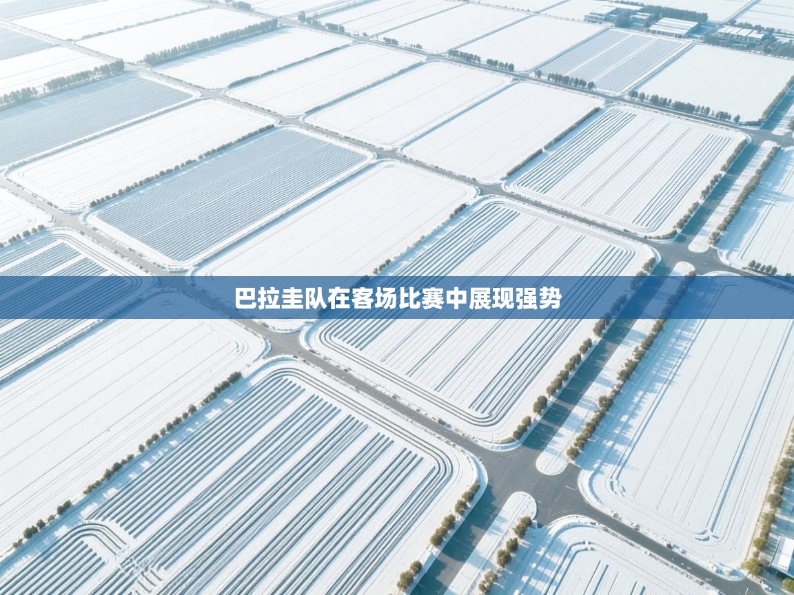 开云数据-巴拉圭队在客场比赛中展现强势 第4张