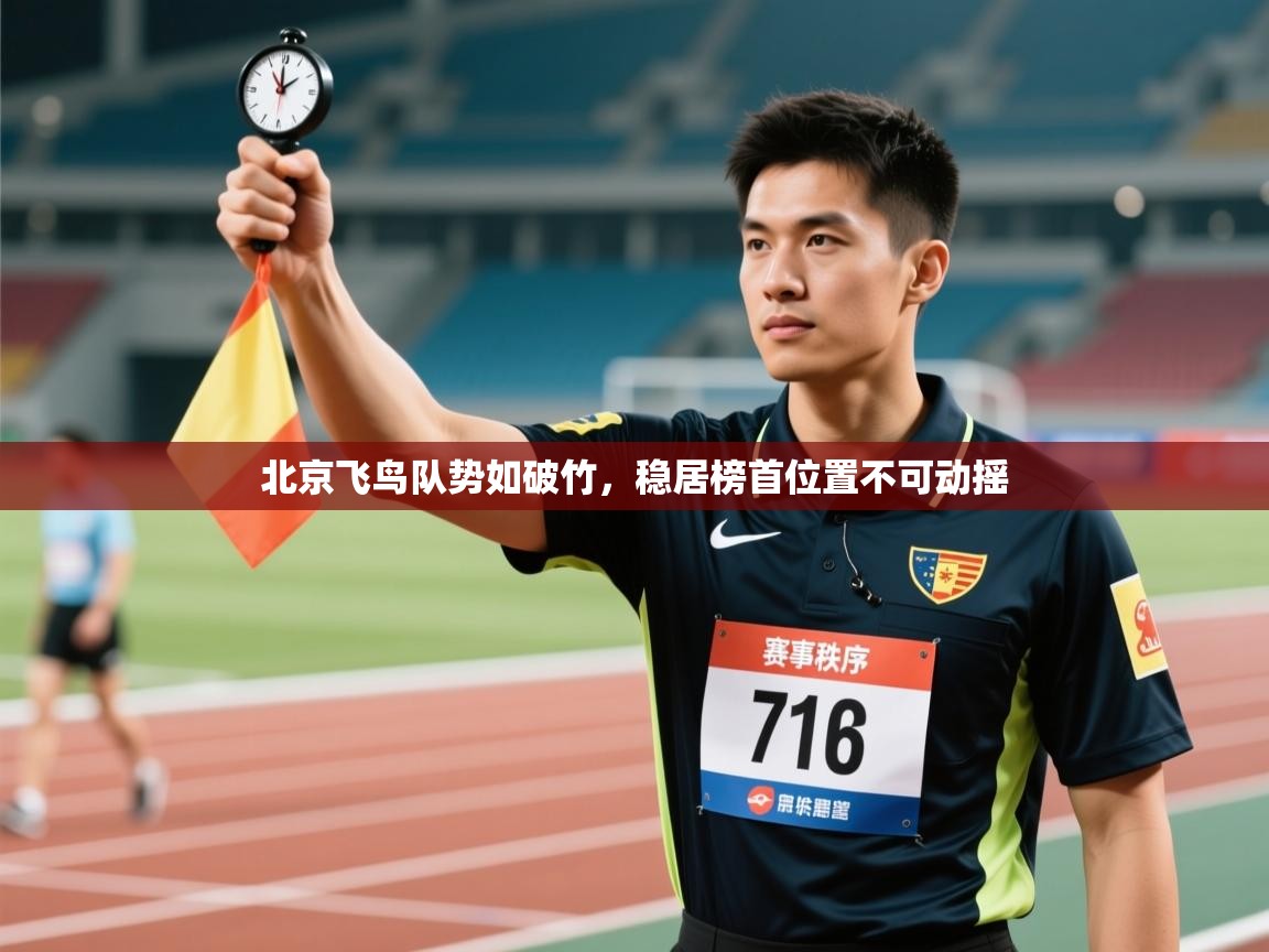 开云体育客服在线咨询-北京飞鸟队势如破竹,稳居榜首位置不可动摇 第1张