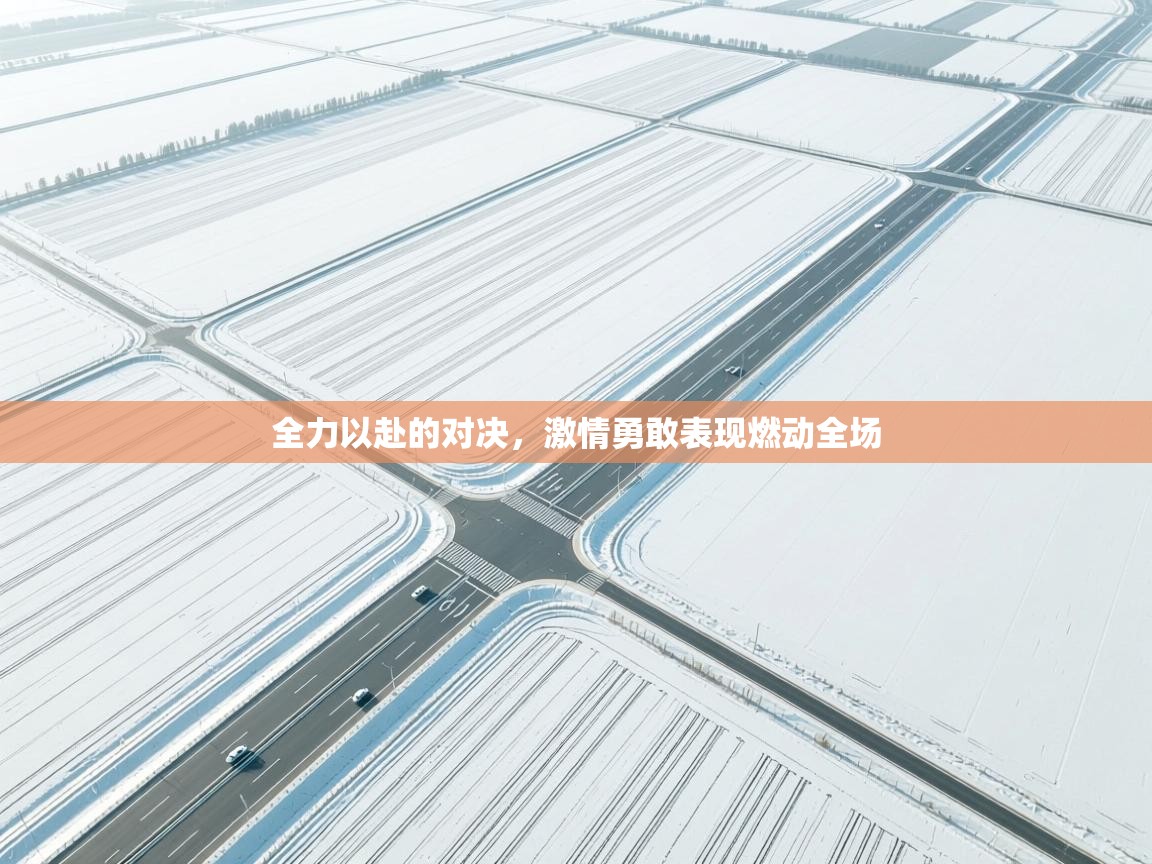 开云体育多语言中文版-全力以赴的对决，激情勇敢表现燃动全场  第1张