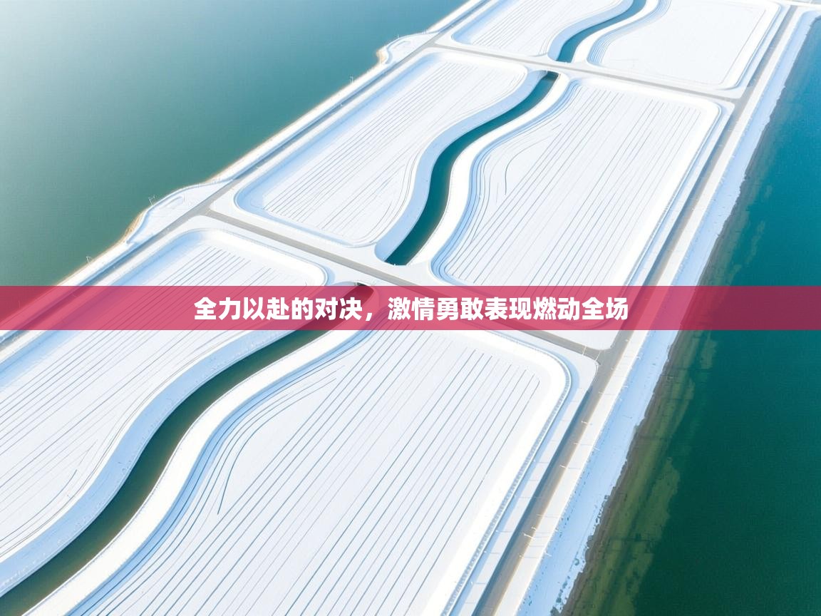 开云体育多语言中文版-全力以赴的对决，激情勇敢表现燃动全场  第2张