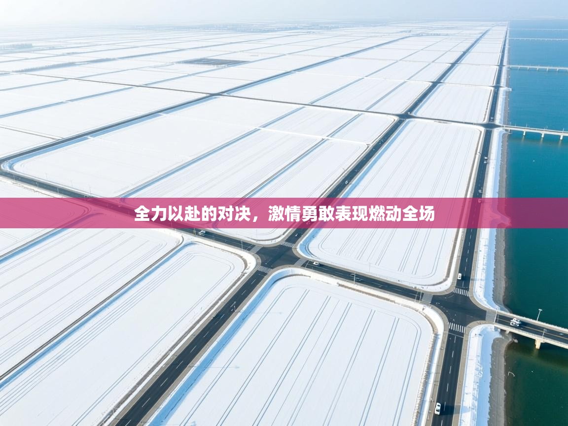 开云体育多语言中文版-全力以赴的对决，激情勇敢表现燃动全场  第3张