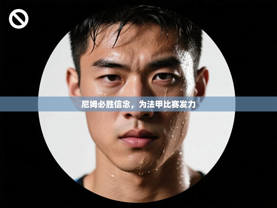 开云体育app官网-尼姆必胜信念，为法甲比赛发力  第2张