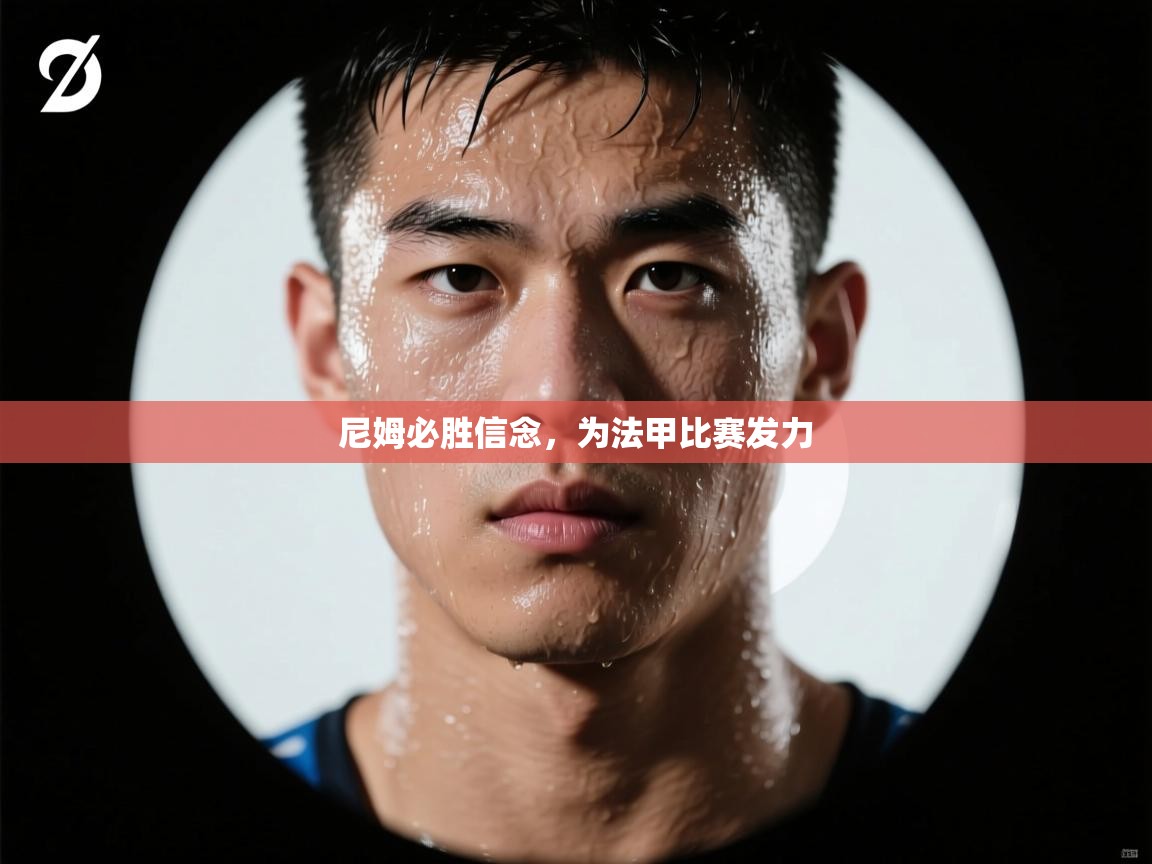 开云体育app官网-尼姆必胜信念，为法甲比赛发力  第3张