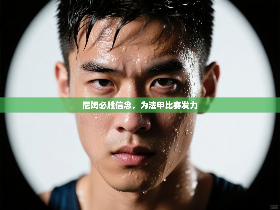 开云体育app官网-尼姆必胜信念，为法甲比赛发力  第4张