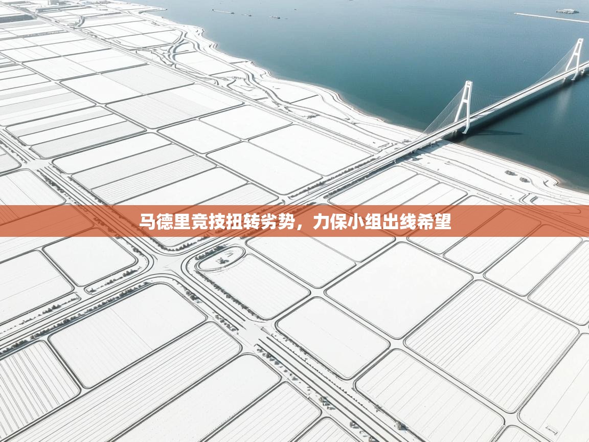 开云体育消息订阅关闭-马德里竞技扭转劣势，力保小组出线希望  第2张